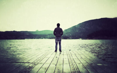 Seek and Ye Shall Find