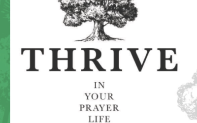 11 Life Lessons from Moses and Aaron